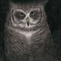 SEKAI NO OWARI - フクロウの声が聞こえる [I Hear an Owl]