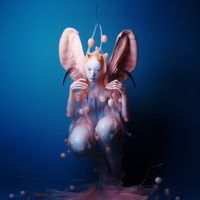 NINA EBA - MORPHO
