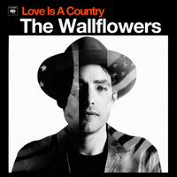 The Wallflowers - Love Is A Country