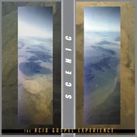 Scenic - The Acid Gospel Experience