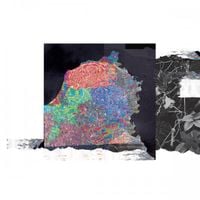 Dialect - Loose Blooms