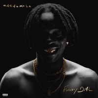 Fireboy DML - adedamola