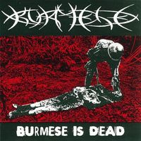 Burmese - Burmese Is Dead