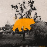 Black Bear Basement - Beyond Traits