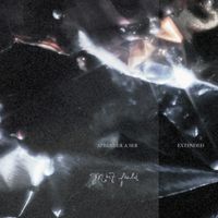 Mint Field - Aprender A Ser: Extended