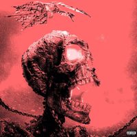 NEW ERA! - THE SKELLY TAPE