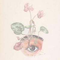 øjeRum - Cut Paper Flowers