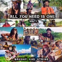 Brushy One String - All You Need Is One, Vol. 1