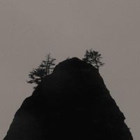 King Pink - Timelines