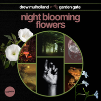 Drew Mulholland - Night Blooming Flowers