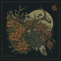 TOŃ - Korzenie