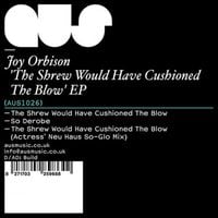 Joy Orbison - The Shrew Would Have Cushioned The Blow