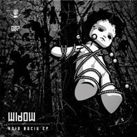 Widow - Hoia Baciu