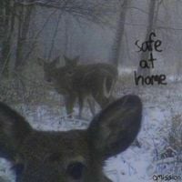 Omission (slowcore) - safe at home