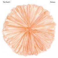The Dead C - Patience
