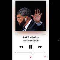 Trump The Don - Fake News