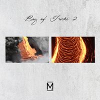 Various Artists - Bag of Tricks 2