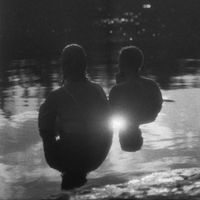 Menke - Elver