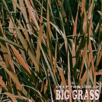 Keep For Cheap - Big Grass