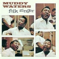 Muddy Waters - Folk Singer