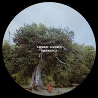 Raphael Gimenes - Dinamarca
