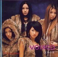 VoixCo - First Propose