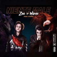 Zano - Niente Male (RMX)
