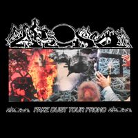 Fake Dust - Tour Promo