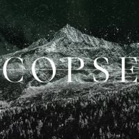 Copse - MMXXIV