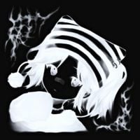 ​beansclub - TRANSIENT FLEETING MEMOIRS