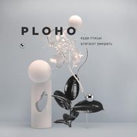 PLOHO - Куда птицы улетают умирать