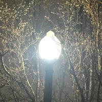 Cosecant - Don't Worry, It Can't Get Worse Than This