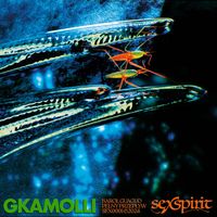 GKAMOLLI - PEŁNY PRZEPŁYW