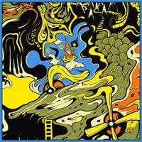 King Gizzard & The Lizard Wizard - Live in New York City '24