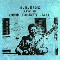 B.B. King - Live in Cook County Jail