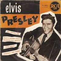 Elvis Presley - All Shook Up