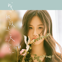 孟慧圆 - 我被放上天空