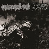 Internal Rot - Split 7