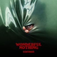 Glass Animals - Wonderful Nothing - Edit