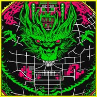 King Gizzard & The Lizard Wizard - Live in Chicago '24