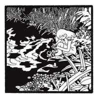 Frogs In A Pond - Frogs in a Pond