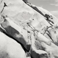 Black Foxxes - Carsaig