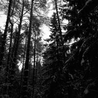 Ruin - Missing Without a Recollection of Your Existence