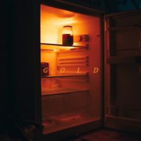The Vices - Gold