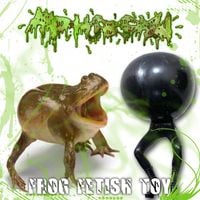 Amphibian - Frog Fetish Toy