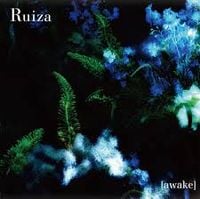 Ruiza - Awake