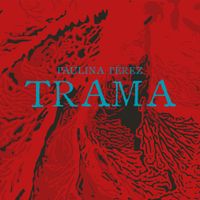 Paulina P&eacute;rez - Trama