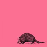 Floral Tattoo - Approaching Bearable