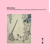 Merzbow - Nine Studies of Ephemeral Resonance Volume 1