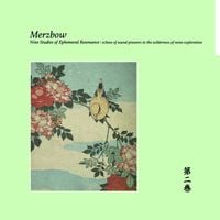 Merzbow - Nine Studies of Ephemeral Resonance Volume 2